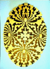 example of mandelbroth fractal